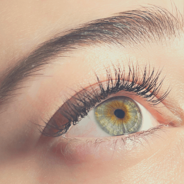 Nahaufnahme einer Augenpartie mit langen, vollen Wimpern und Augenbrauen.